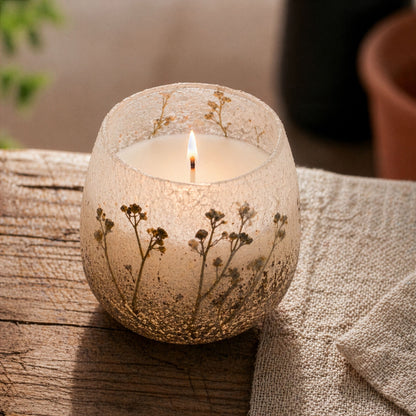 Velas en tarro de vidrio mediano - Wildlight Woods