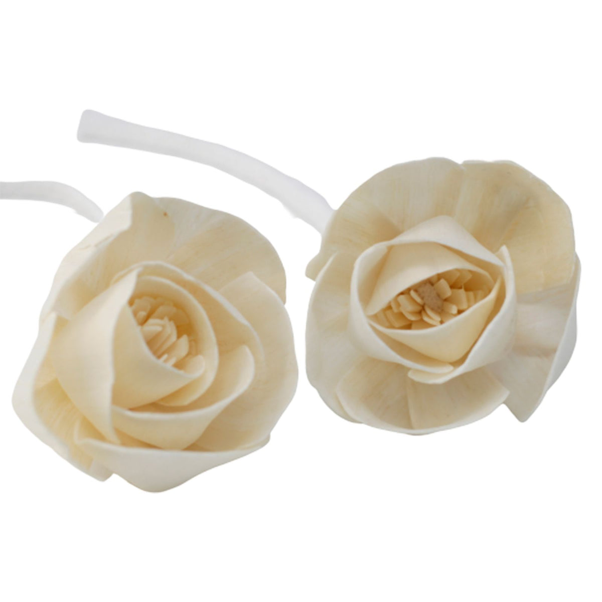 Difusor de Flores Naturales - Rosa Grande en Cuerda - Flores Difusoras