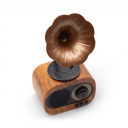 Altavoz mini gramófono retro - Bluetooth y radio FM - 5 vatios x 1