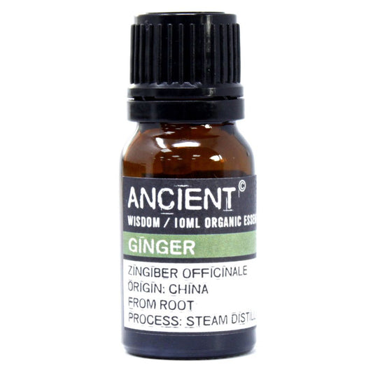 Organic essential oil - Ginger