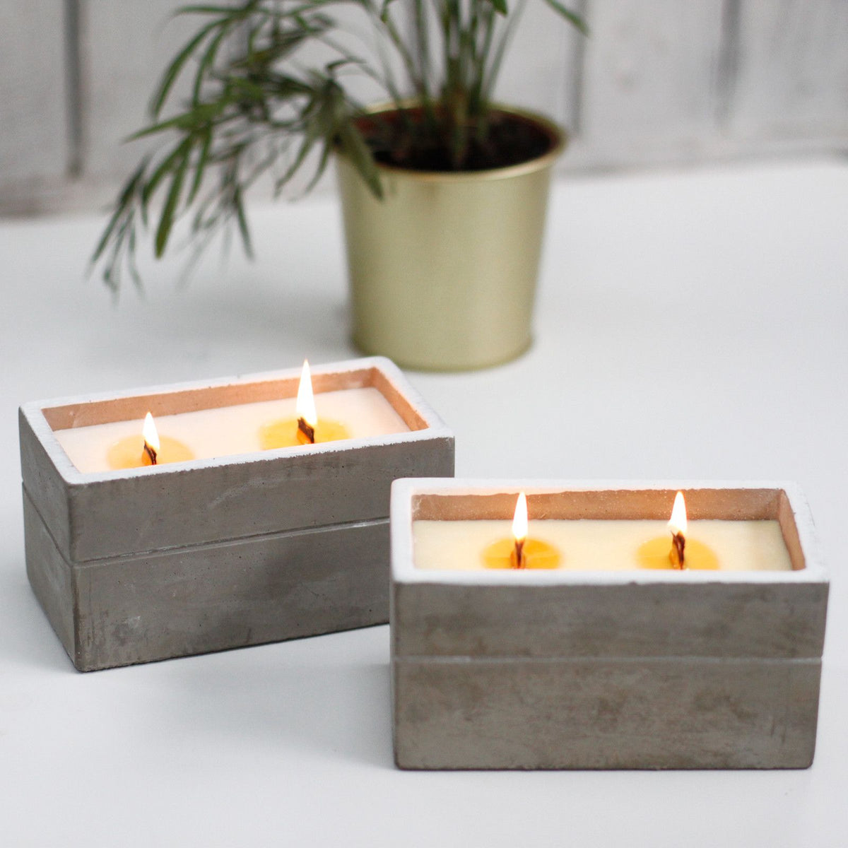 Caja grande - Clavo y sándalo oscuro - Velas de madera de hormigón