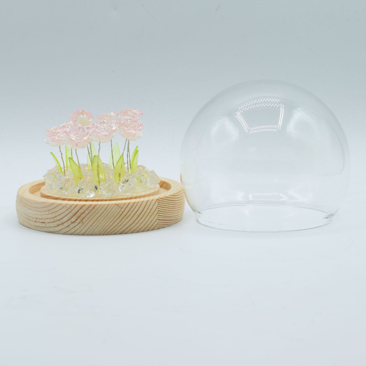 Domo de jardín Floral Glow - 10 rosas rosadas - LED USB