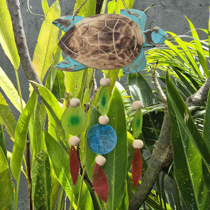 Talla de Tortuga en Aqua y Gota