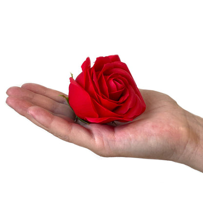 Caja de Regalo - Rosas de Jabón · 9 ud Rojo