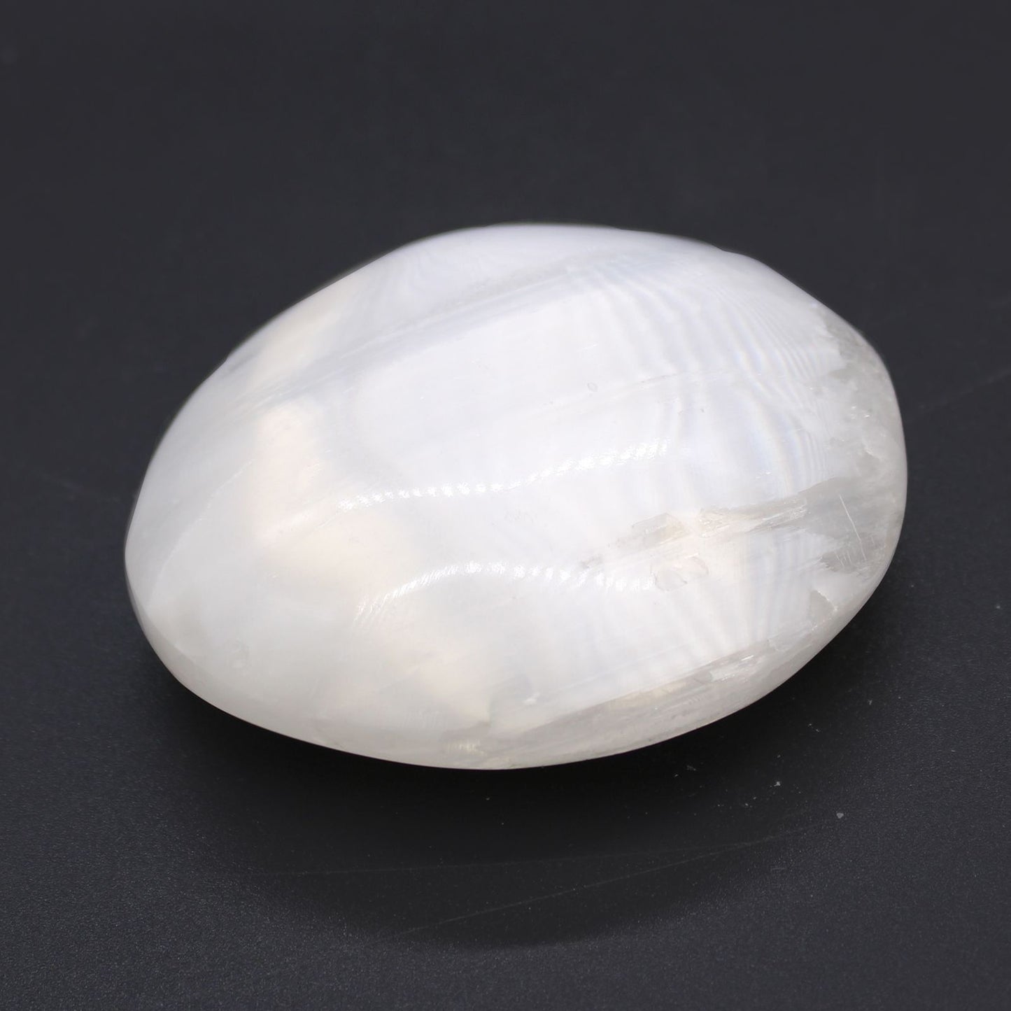 Piedra de Palma Selenita - 8 cm