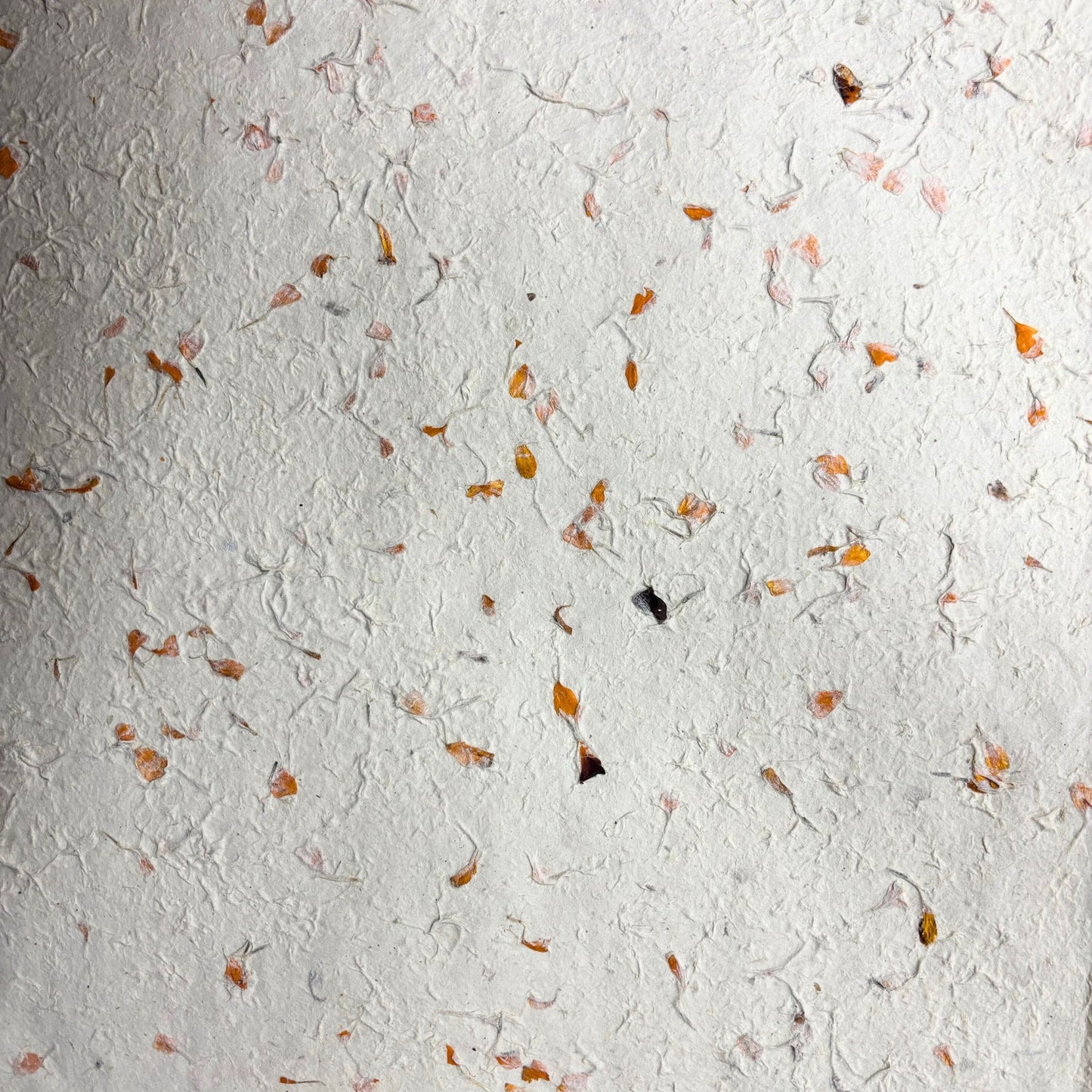 Lokta Craft / Papel de regalo (51x76cm) - Marigold
