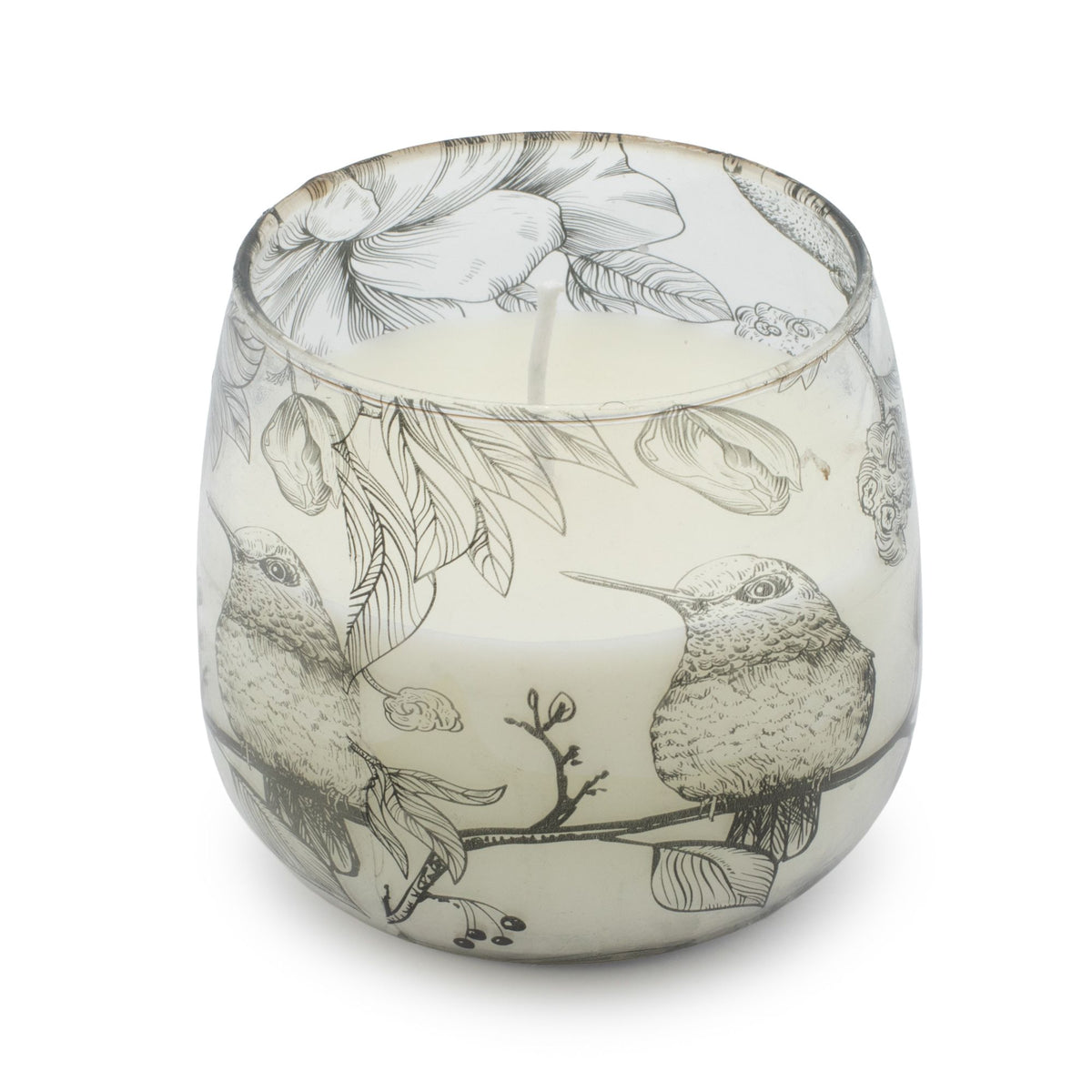 Velas en tarro de vidrio de tamaño mediano - Dibujadas por llama - Velas en tarros de vidrio, aves ilustradas