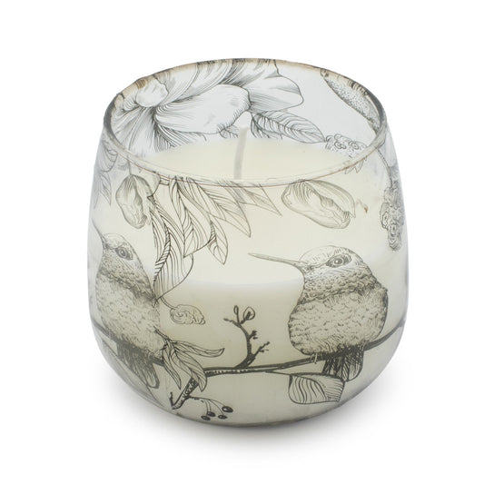 Velas en tarro de vidrio de tamaño mediano - Dibujadas por llama - Velas en tarros de vidrio, aves ilustradas