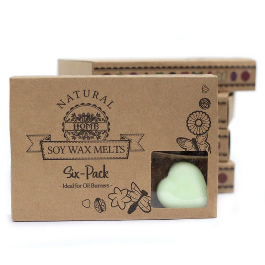 Caja de 6 ceras de Soja - manzana especiada - Ceras de Soja de Lujo