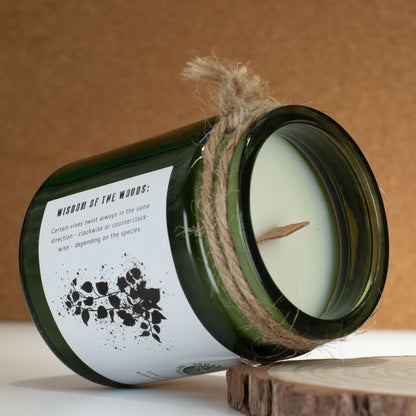 Vela de soja Greenman Woodwick - Vid Crepuscular - Velas de soja Woodwick de Greenman Rituals, 26 horas