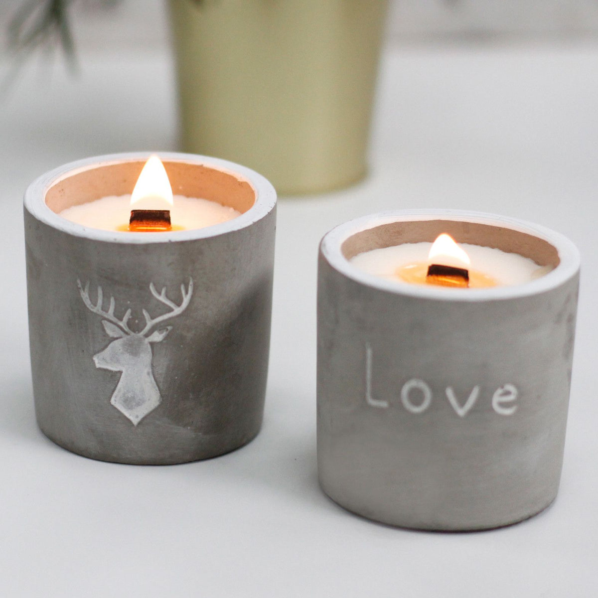 Olla mediana - Love - Purple Fig & Casis - Velas de madera de hormigón, casis
