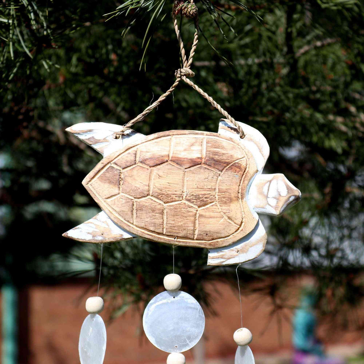 Talla de Tortuga en Blanco Lavado y Gota Natural