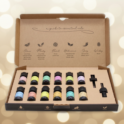 Aromatherapy Essential Oil Set - The Top 12