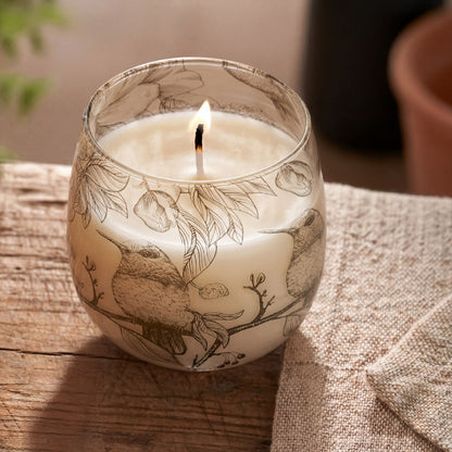 Velas en tarro de vidrio de tamaño mediano - Dibujadas por llama - Velas en tarros de vidrio, aves ilustradas