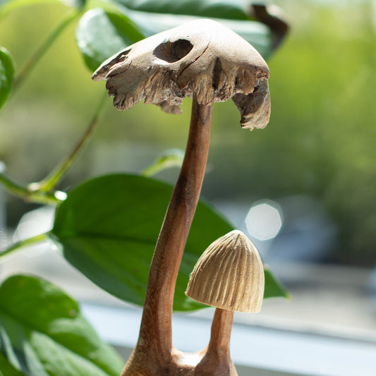 Handmade Parasite Art Wood Carving - Two Mushoorms Set