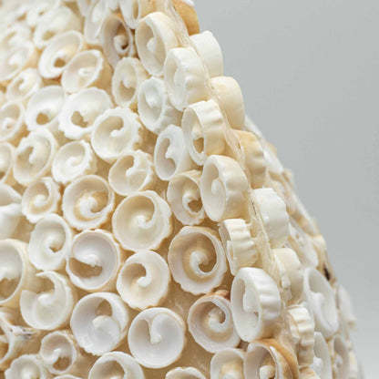 Lámpara Boho de Conchas Marinas - Concha Redonda Grande  - 30 cm