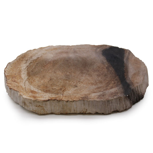 Black Petrified Wood Soap Dish