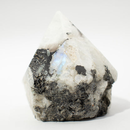 Puntas pulidas de piedra preciosa - Moonstone arcoíris (aproximadamente 5-6 piezas)