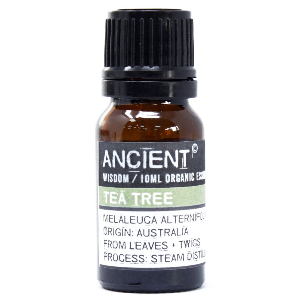 Aceite esencial orgánico - Árbol de té