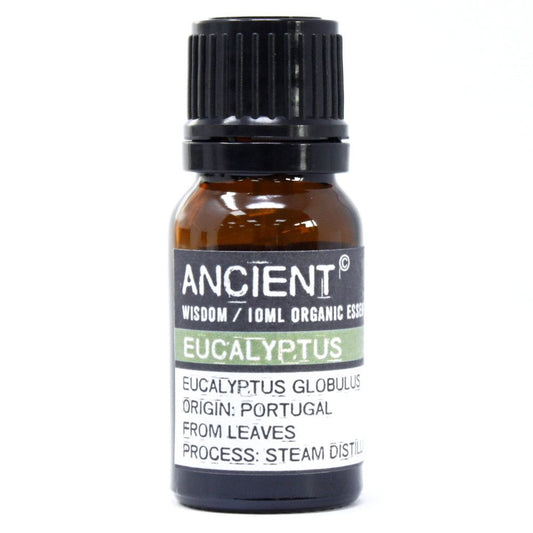 Organic essential oil - Eucalyptus