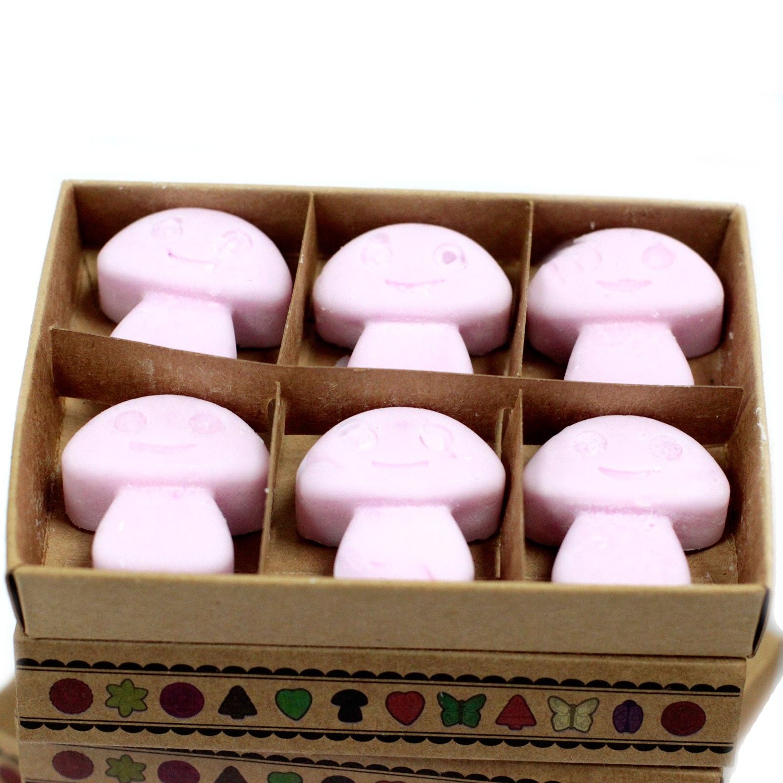 Caja de 6 ceras de Soja - Ylang Ylang - Ceras de Soja de Lujo
