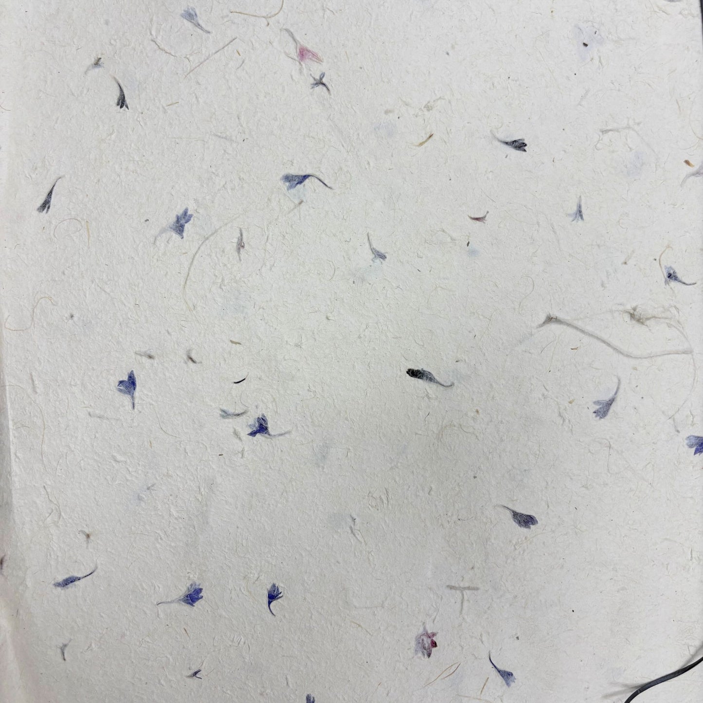 Lokta Craft & Papel de Regalo 51x76cm – Pétalo de aciano