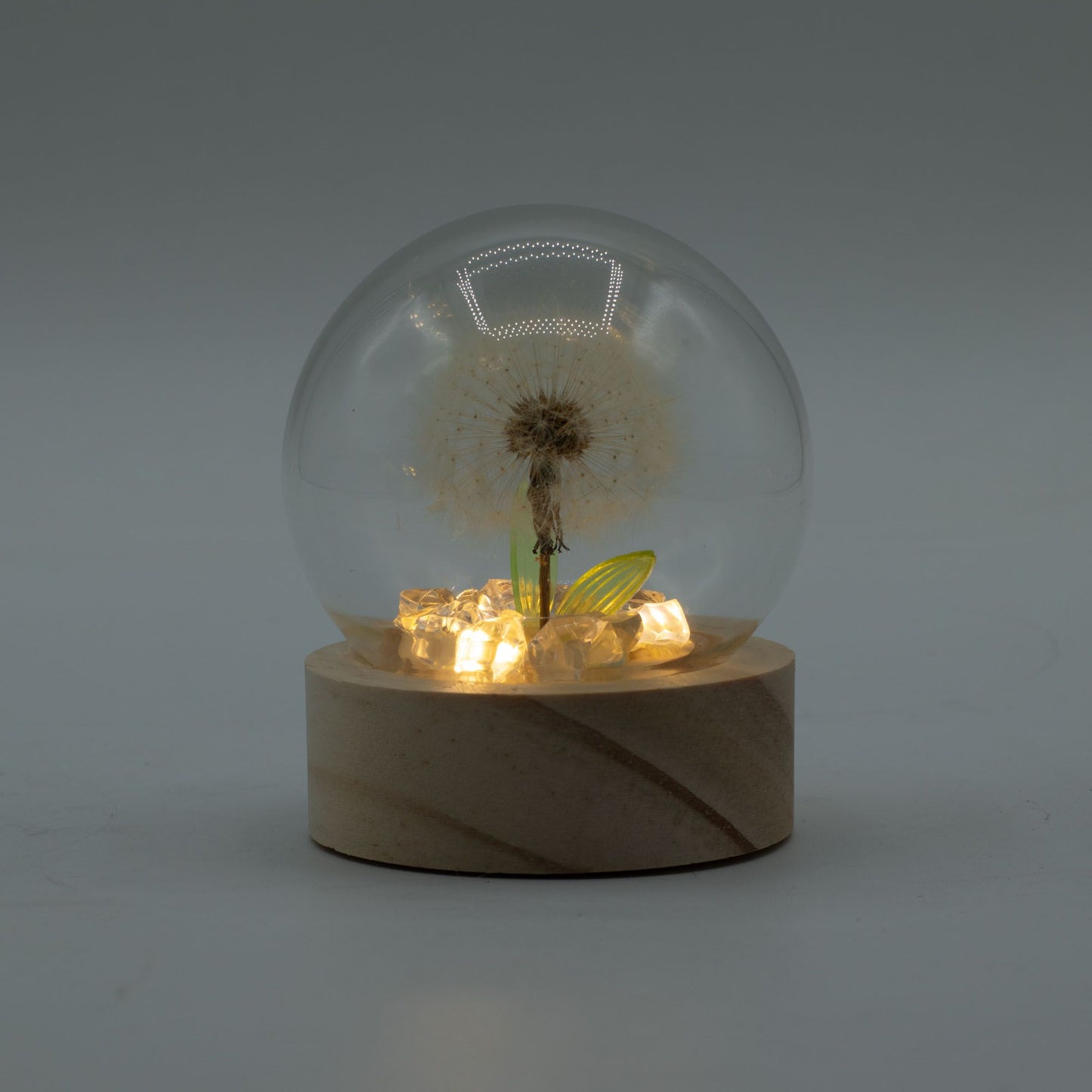 Domo de jardín Floral Glow - 1 Diente de león - Batería LED