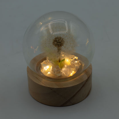 Domo de jardín Floral Glow - 1 Diente de león - Batería LED