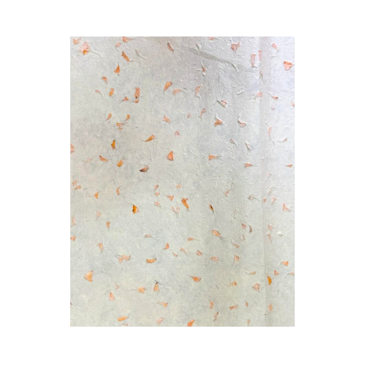 Lokta Craft / Papel de regalo (51x76cm) - Marigold