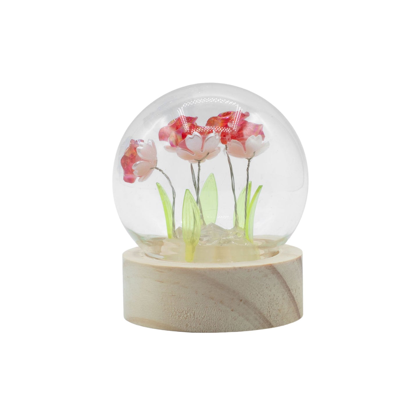 Domo de jardín Floral Glow - 5 rosas rojas - Batería LED