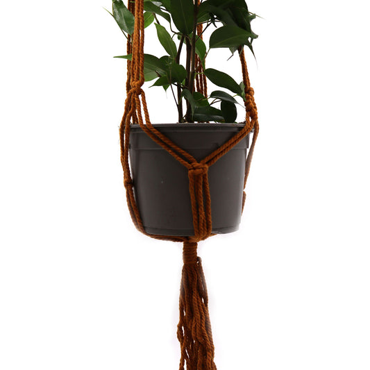 Macrame Planter Classic - Chocolate Medium Pot