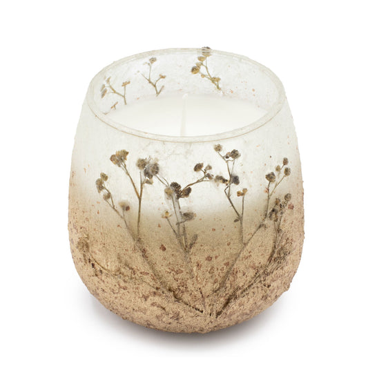 Velas en tarro de vidrio mediano - Wildlight Woods