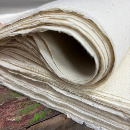 Lokta Craft / Papel de regalo (51x76cm) - 5gms papel liso